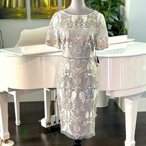 Gorgeous Adrianna Papell Evening Dress